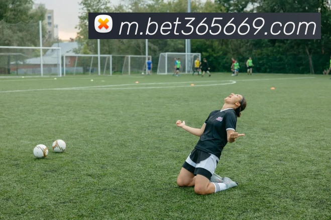 bet365中国官网APP 封面图